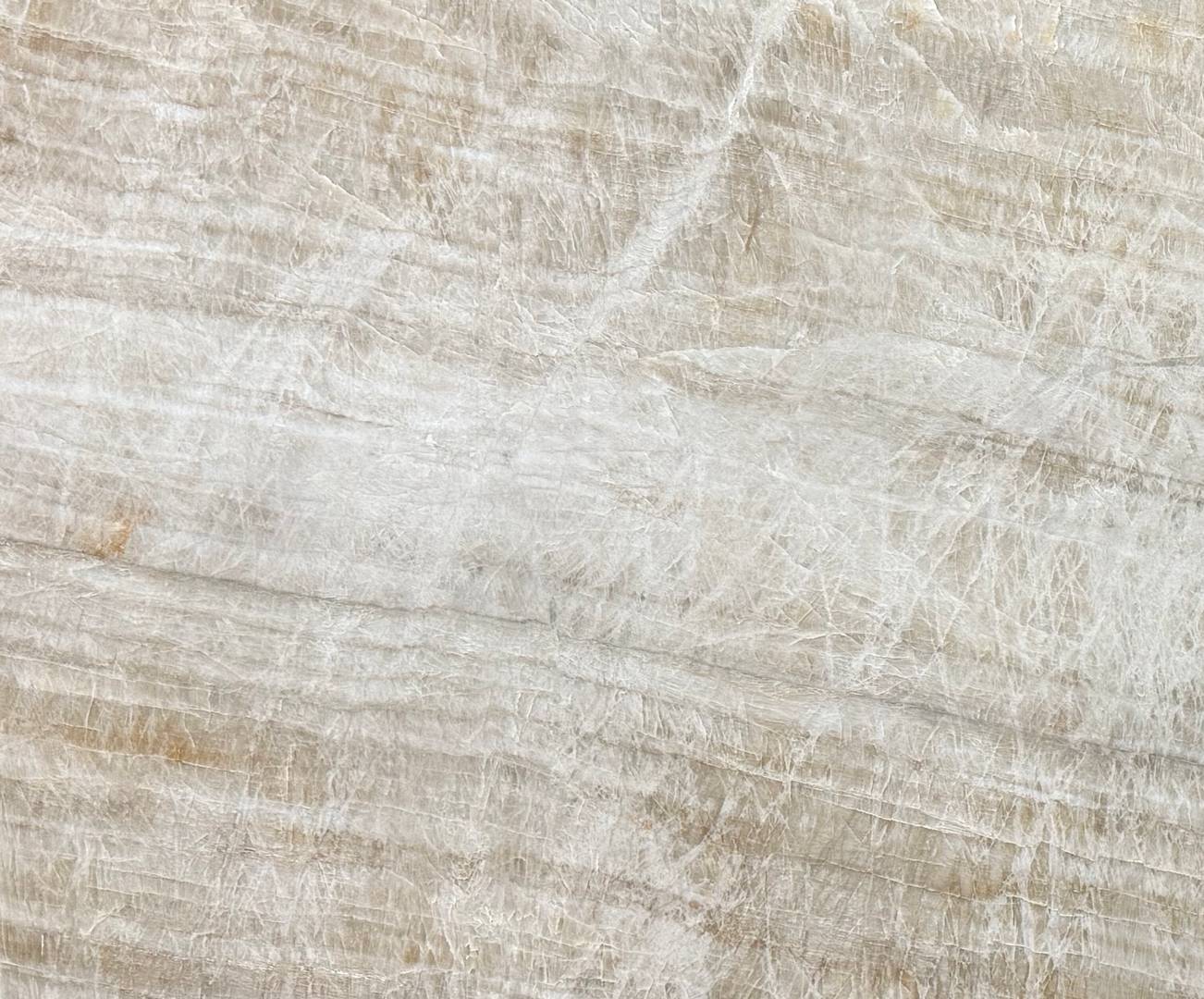 Taj Royal - 109 - NCKBLK