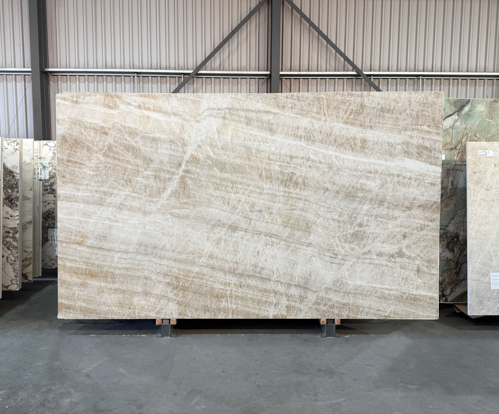 Taj Royal - 109 - NCKBLK