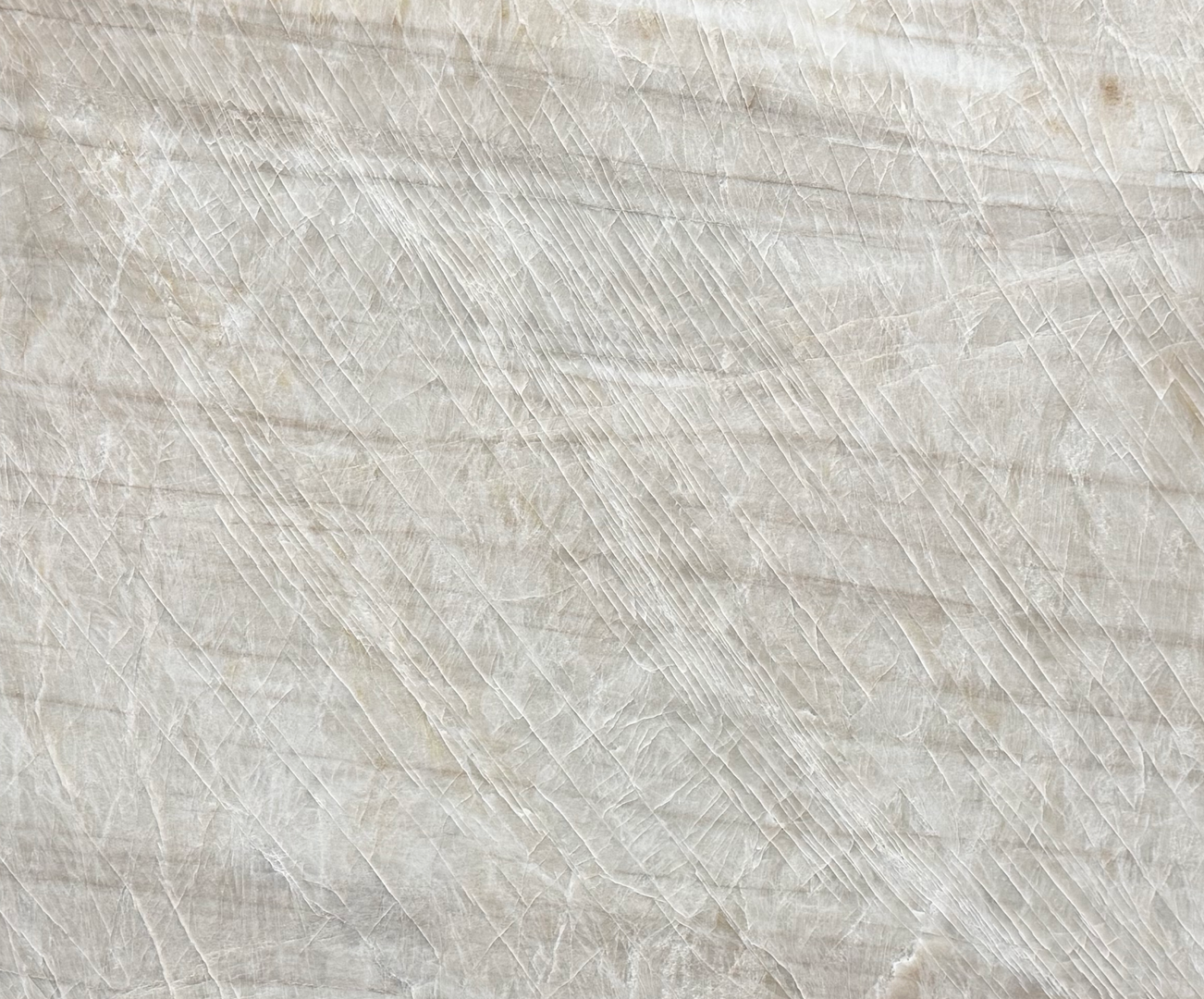 Taj Royal - 110 - NCKBLK