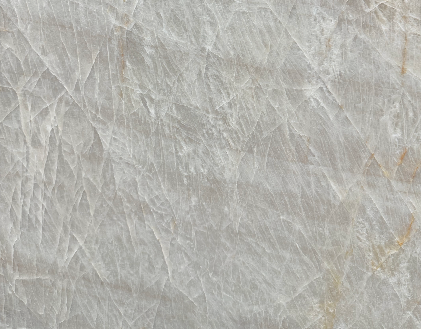 Taj Royal - 111 - NCKBLK