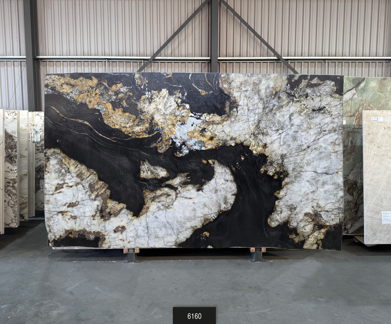 Belatrix - Leather Finish - 61 - NCKBLK