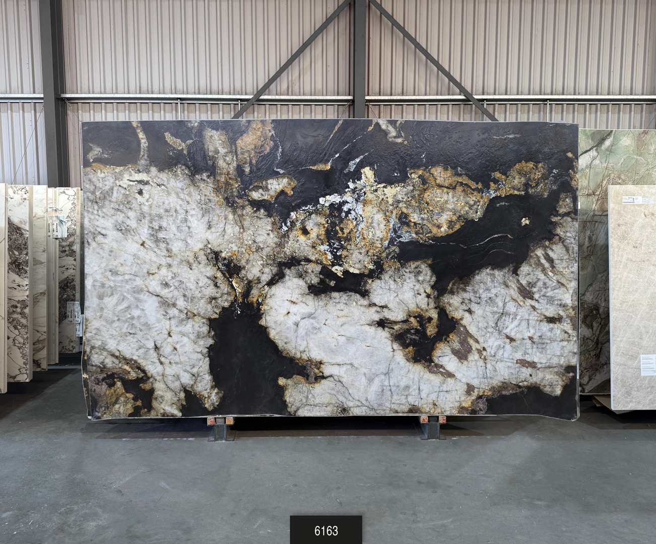 Belatrix - Leather Finish - 61 - NCKBLK