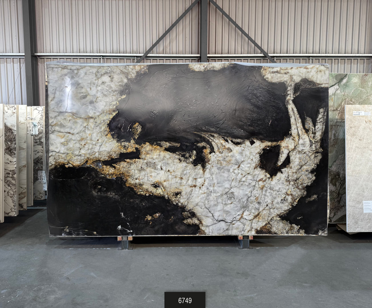 Belatrix - Leather Finish - 61 - NCKBLK