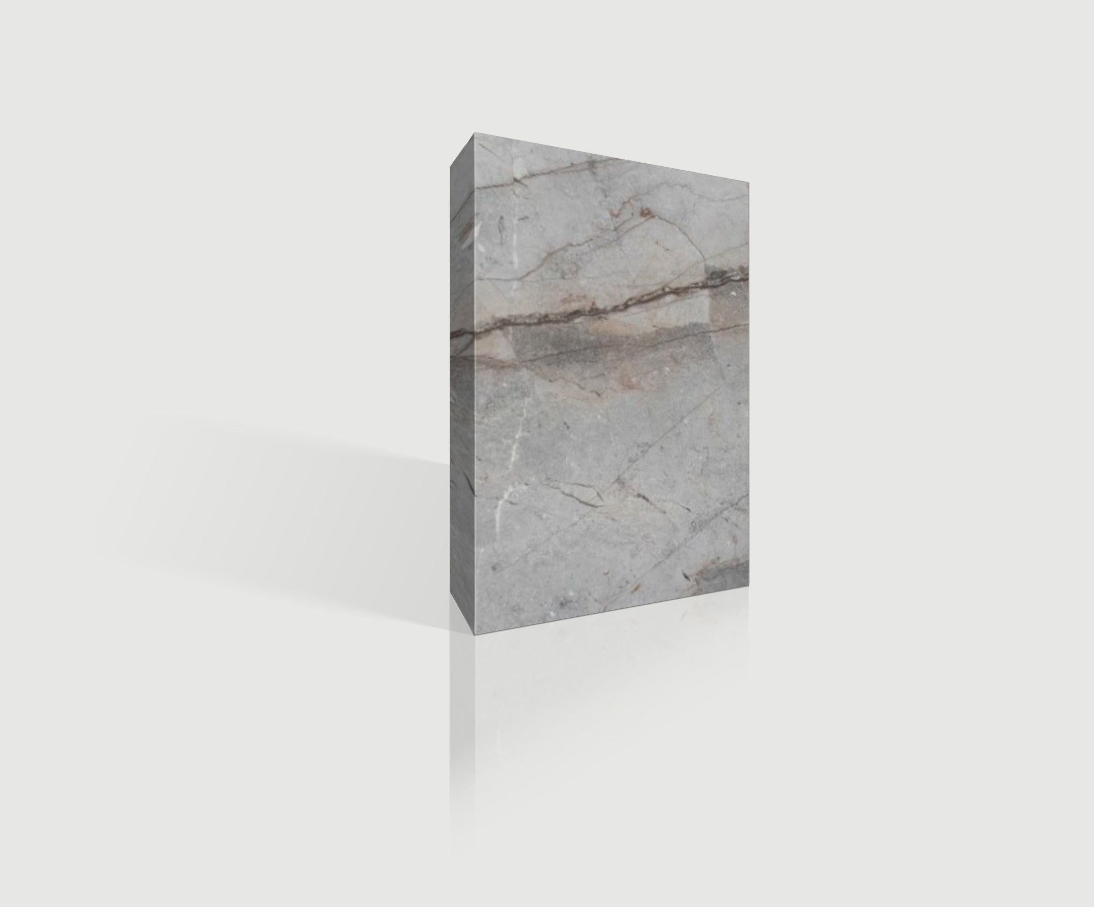 Silver Roots - NCKBLK