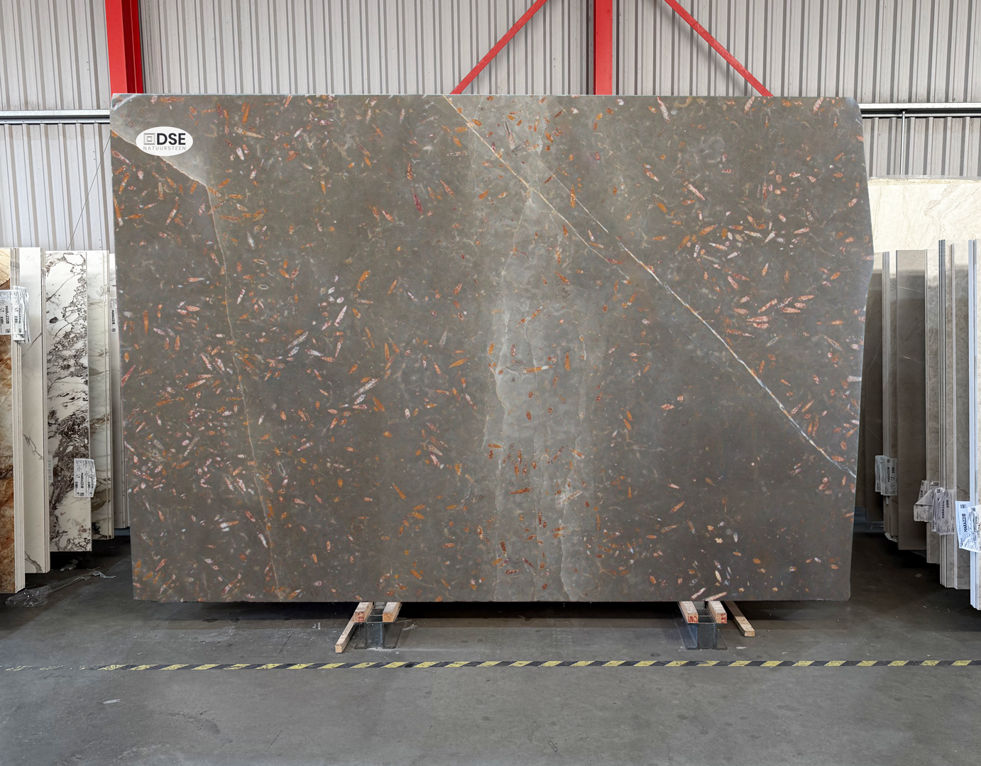 Jurassic Brown - NCKBLK