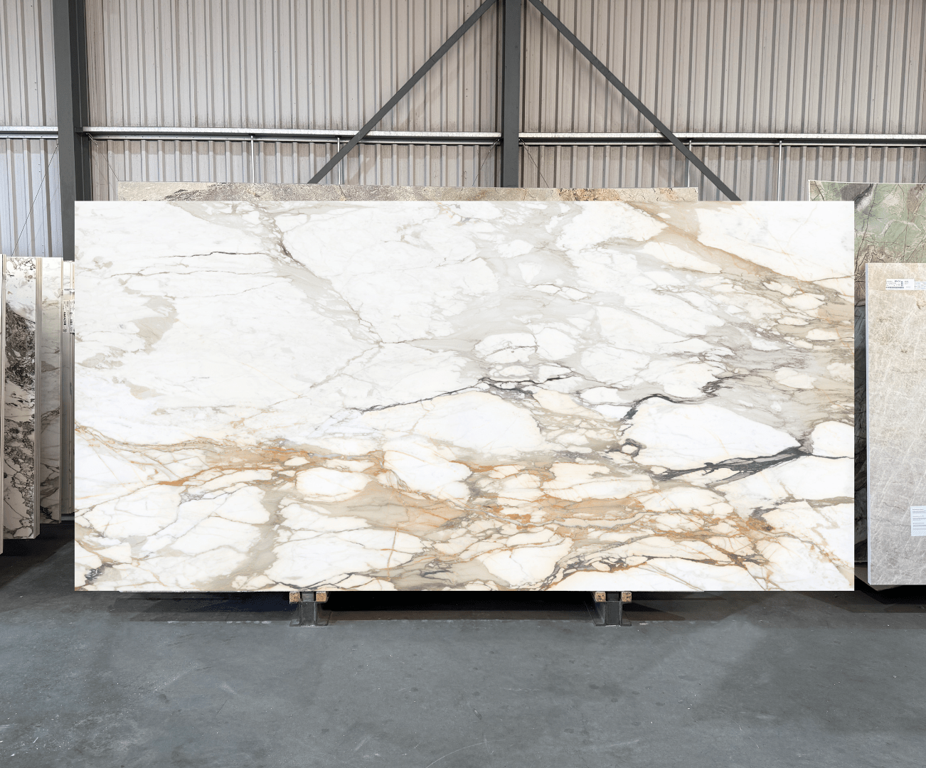 Marble Look Calacatta Vena Vecchia - Sample - NCKBLK