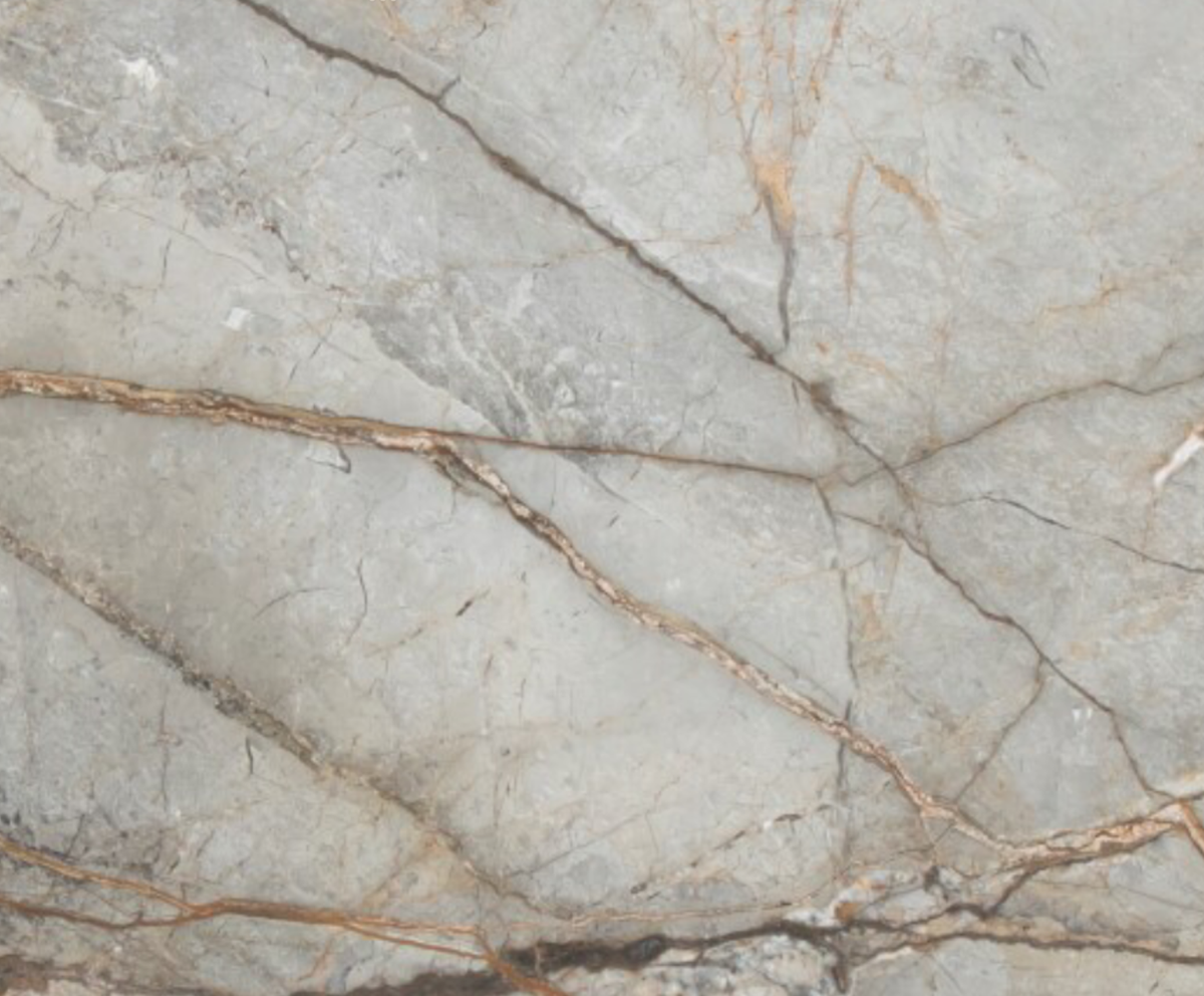 Silver Roots - NCKBLK