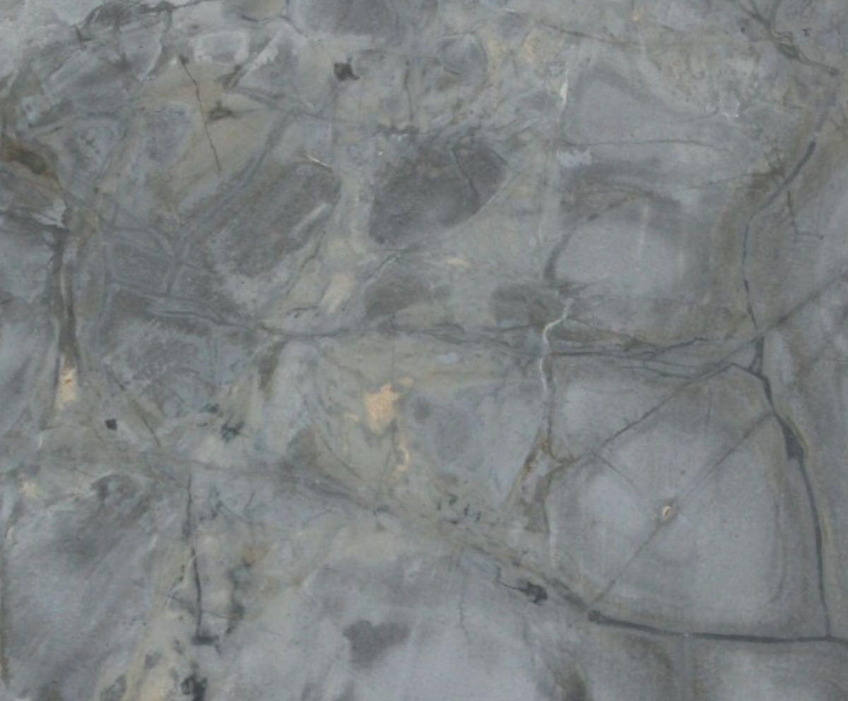 Turtle Illusion - NCKBLK