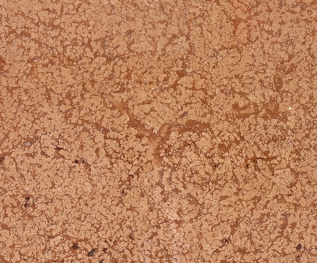 Rosso Verona - NCKBLK