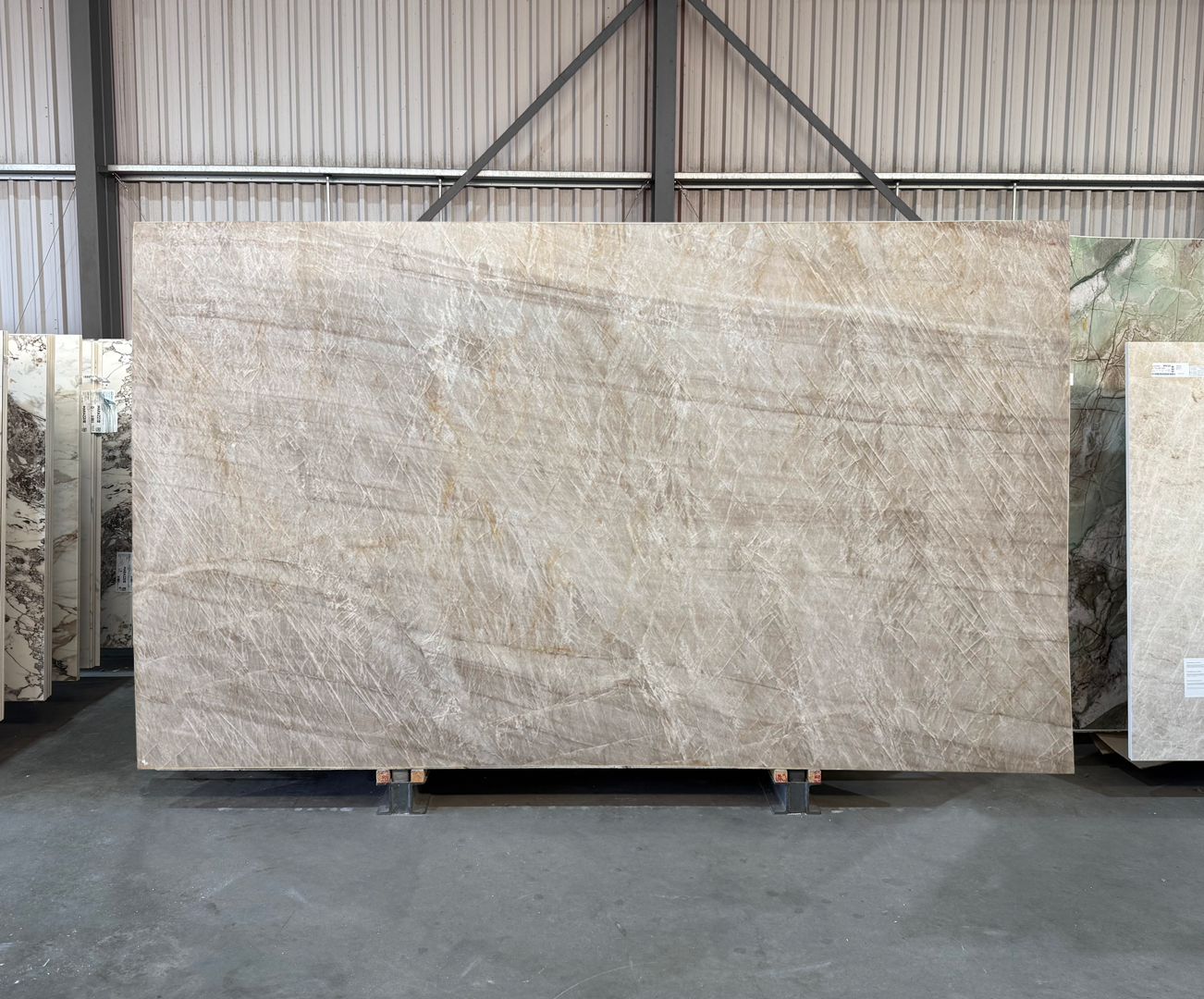 Taj Royal - 111 - NCKBLK