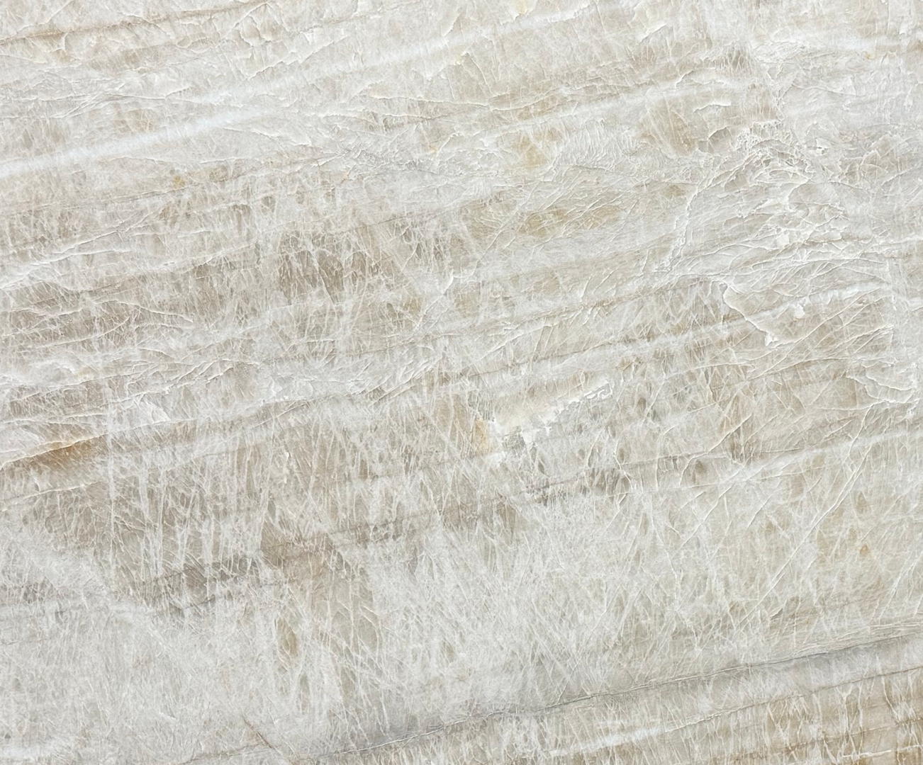 Taj Royal - 108 - NCKBLK