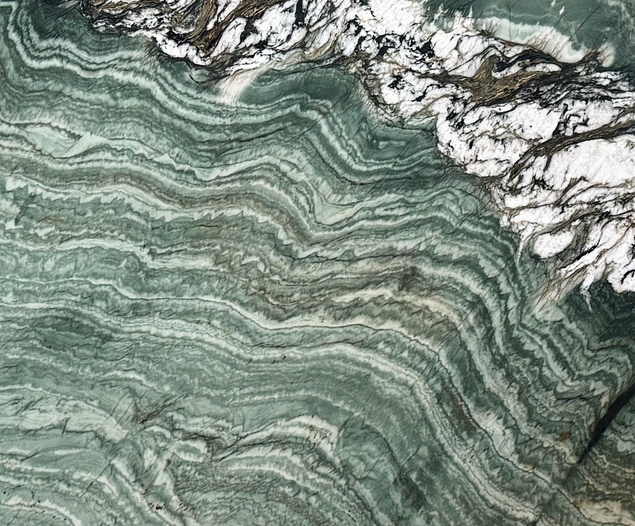 Botanic Wave - NCKBLK