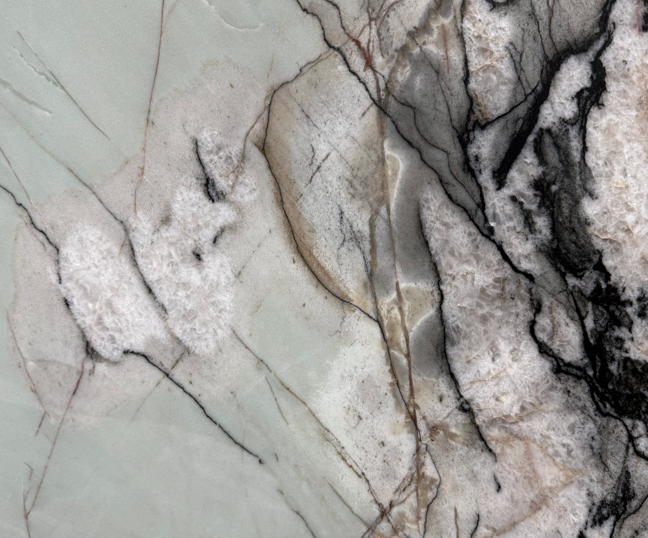 Bonsai - 123 - NCKBLK