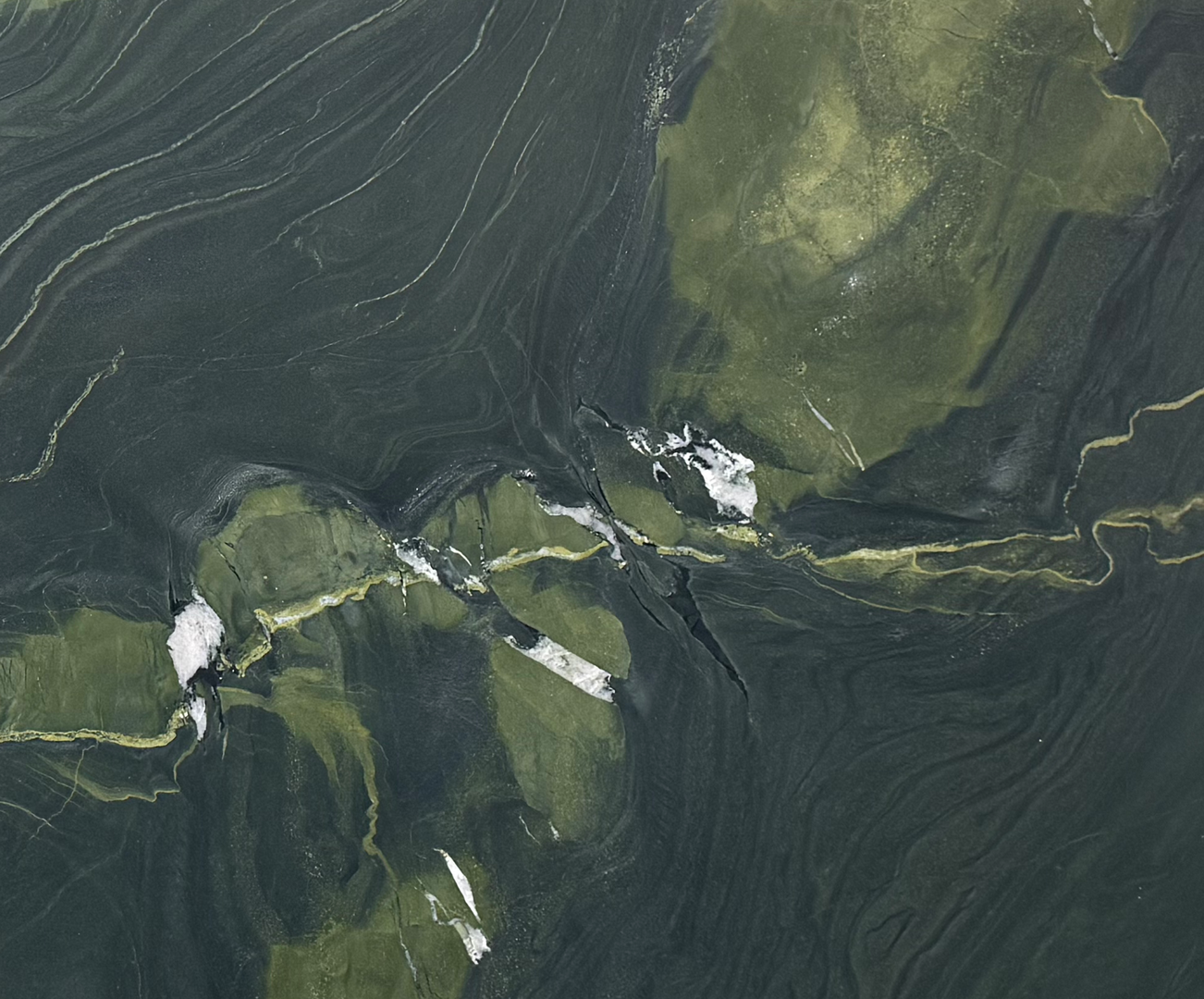 Avocatus 2cm - 0 - NCKBLK